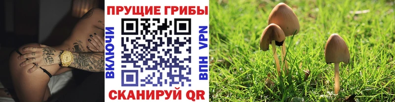Галлюциногенные грибы MAGIC MUSHROOMS Пласт