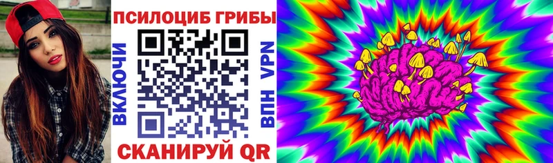 Псилоцибиновые грибы GOLDEN TEACHER  Пласт 